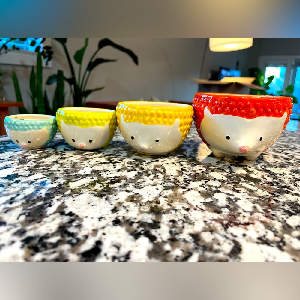 Pier 1 Hedgehog Nesting Measuring Bowls